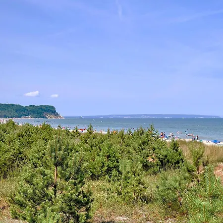 Sonnenblume In * Baabe