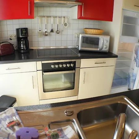 Sonnenblume In Сasa de vacaciones